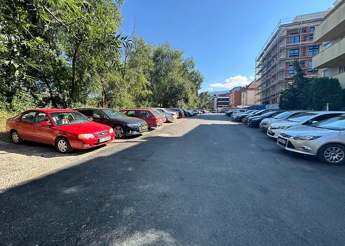 Mountain View Magenta White * София