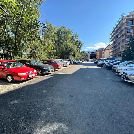 Mountain View Magenta White * Sofia